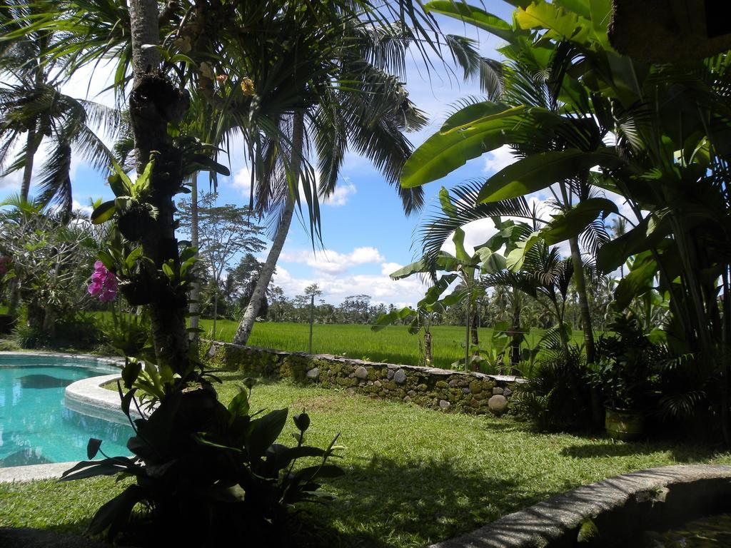 Saudara Home Ubud Екстериор снимка