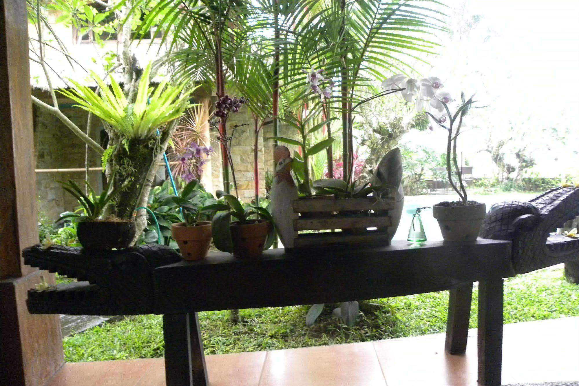 Saudara Home Ubud Екстериор снимка