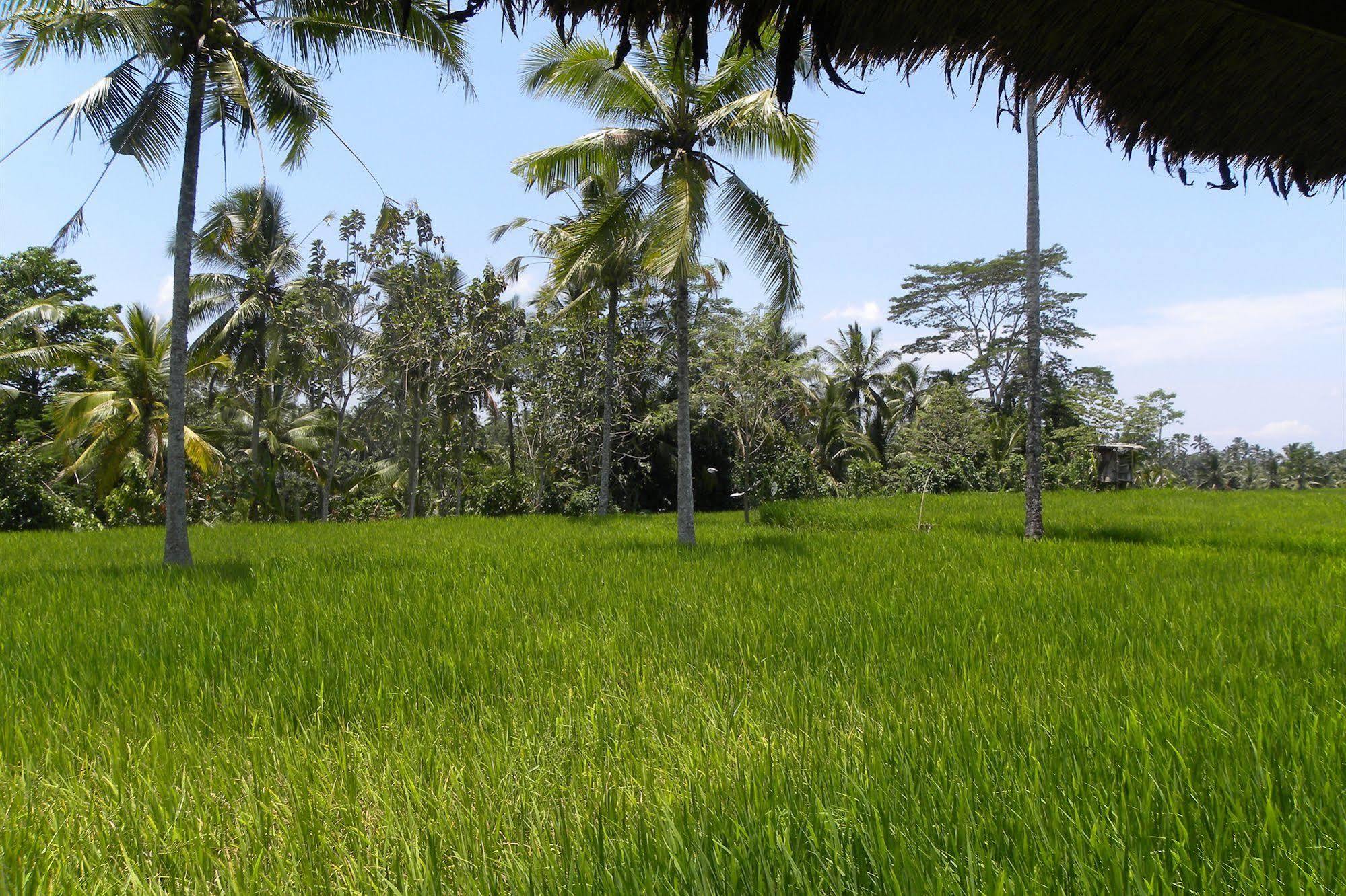Saudara Home Ubud Екстериор снимка