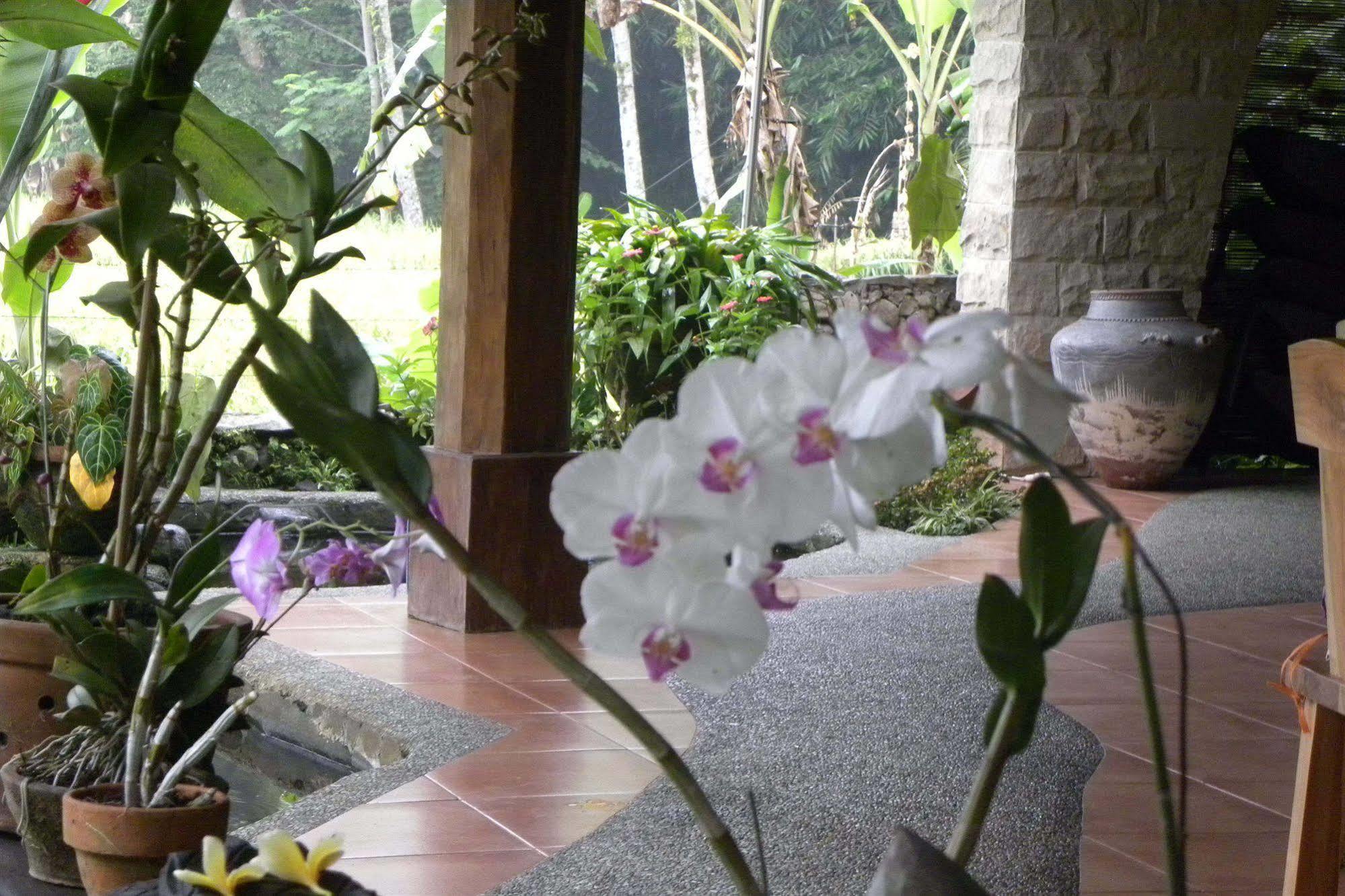Saudara Home Ubud Екстериор снимка