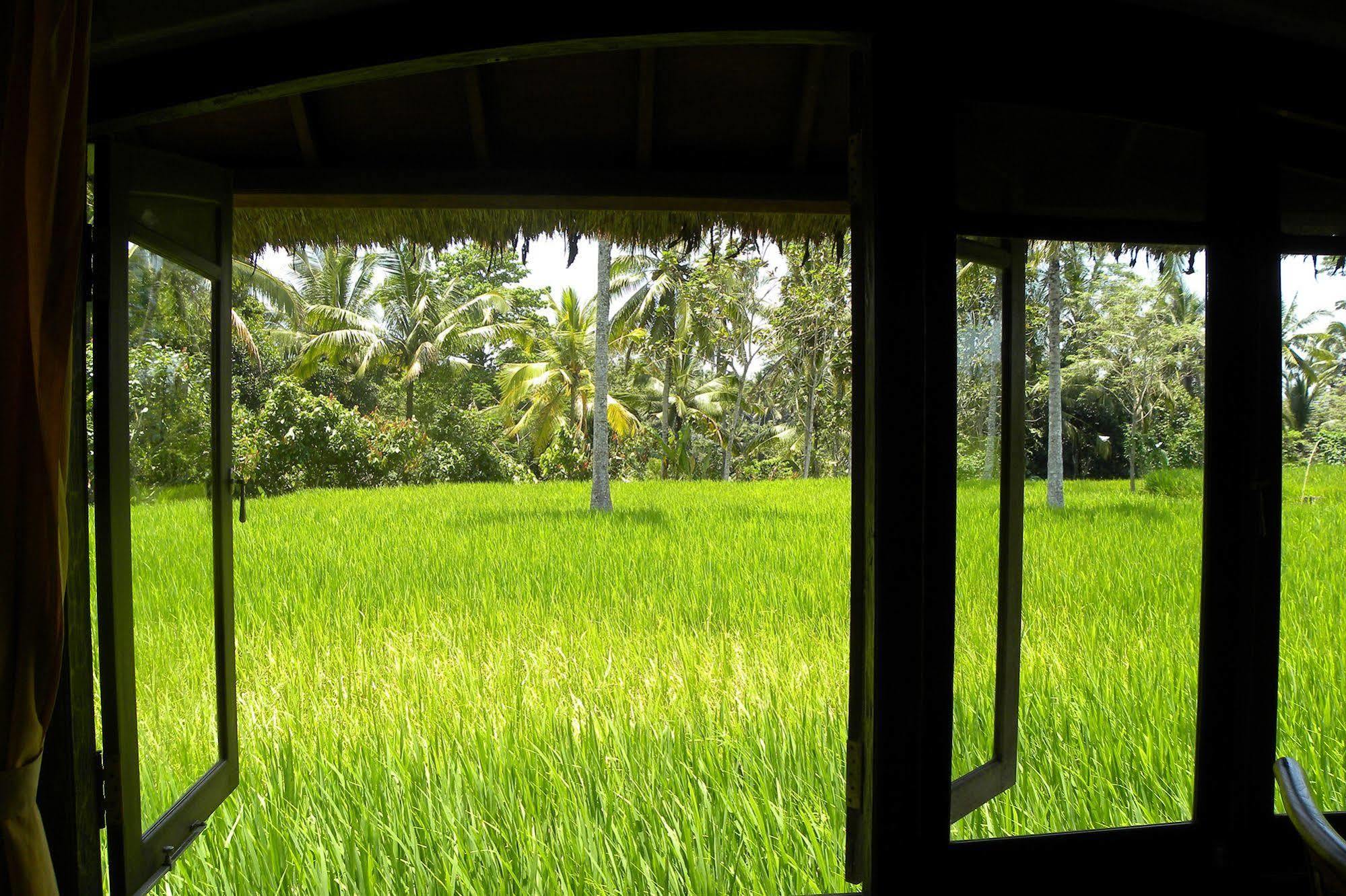 Saudara Home Ubud Екстериор снимка