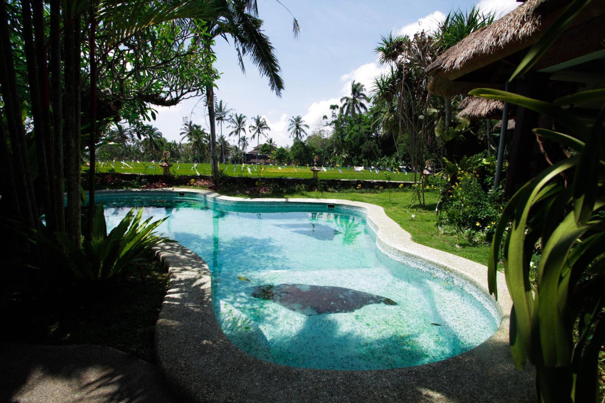 Saudara Home Ubud Екстериор снимка